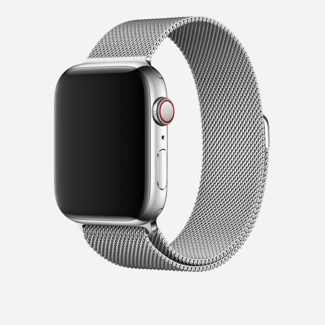 Stainless Steel Strap